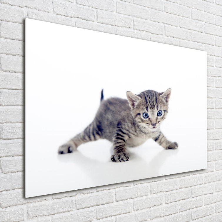 Ebern Designs Small Cat Unframed Art Prints on Glass Wayfair.co.uk